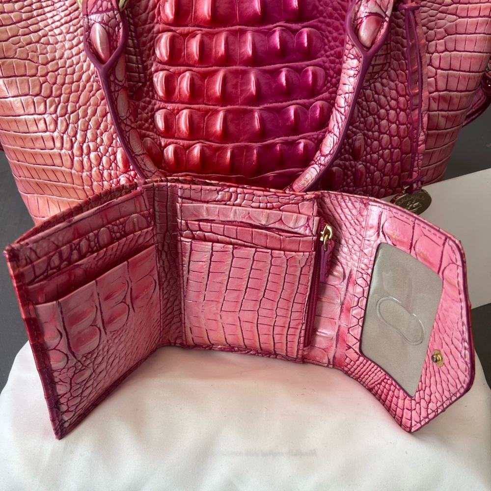 Brahmin Cupid Ombré Melbourne - Picture 5 of 16